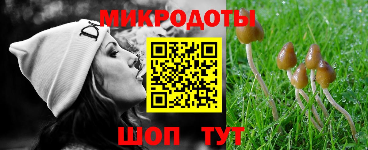 Галлюциногенные грибы мухоморы Ставрополь